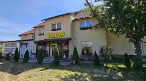 Pensiunea Baron Bazna